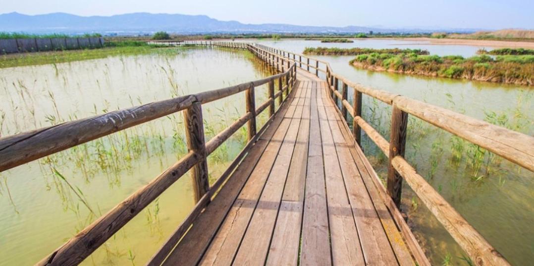 Mediterranean Beach Apartment 180º Sea & Island Views Santa Pola Ngoại thất bức ảnh