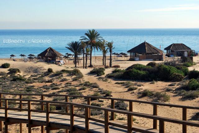 Mediterranean Beach Apartment 180º Sea & Island Views Santa Pola Ngoại thất bức ảnh